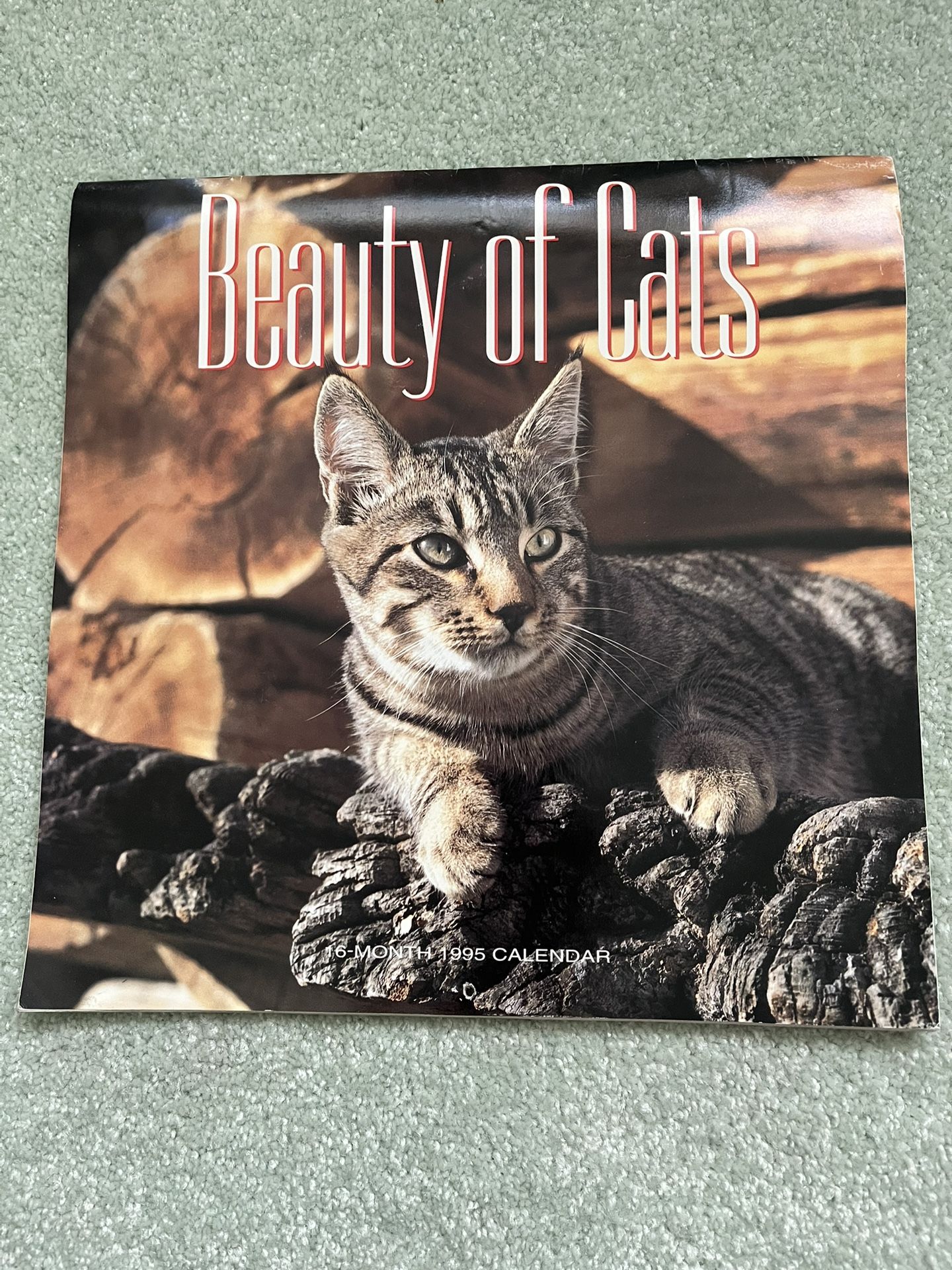 Vintage 1995 beauty of cats calendar