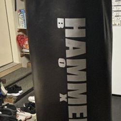 Hammerhead KickBoxing Bag 