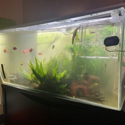 Lots Of Things For Sale ;) New List ! 