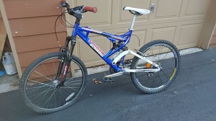 Schwinn Aeromax bike