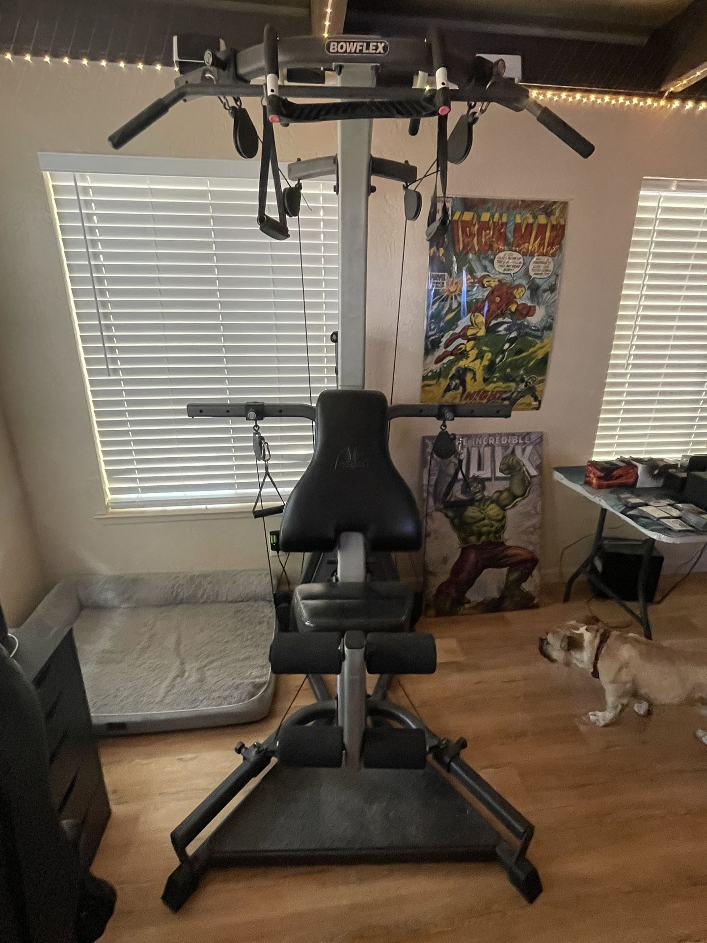 Bowflex ex2 Complete workout machine!