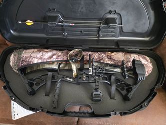 Archery bow bear cruiser