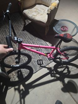 Sunday 20 inch