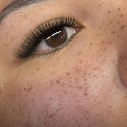 Eyelashes And Eyebrows 