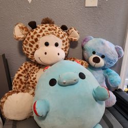 Plush Teddy Bears 