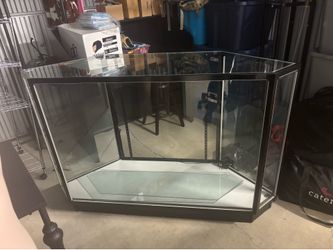 Corner Glass Display