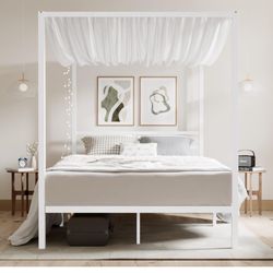 Canopy BedFrame