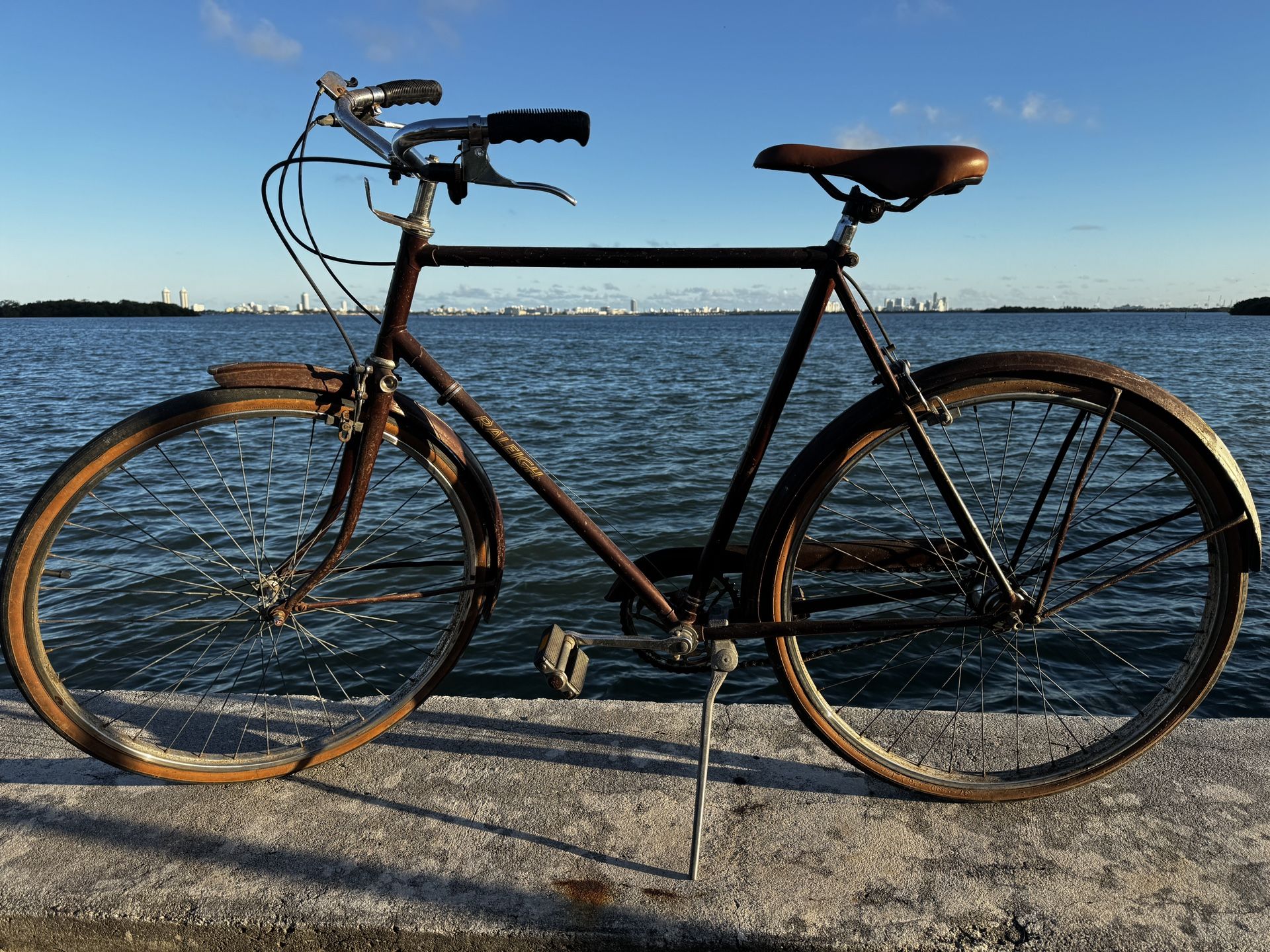 RALEIGH Sports 1974 Bicycle