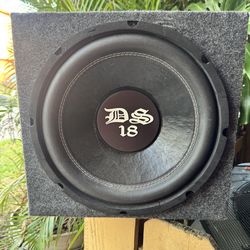 10 inch DS subwoofer w/ carpet casing