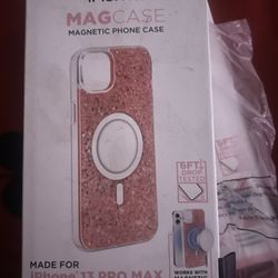 iPhone Pro Max Case 