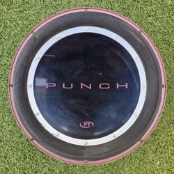 12" Punch Subwoofer Speaker 