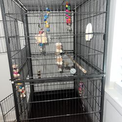 Jaula De Pájaros 