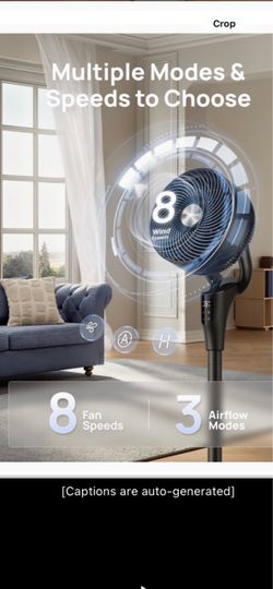 DERO “S standing fan with remote