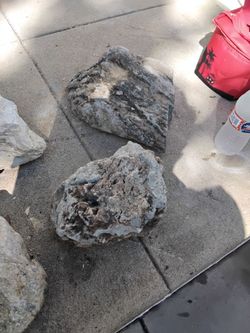 Landscape Rocks
