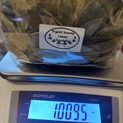 Organic Soursop Leaves (Graviola)–Whole Leaf, Dried– Non-GMO & Caffeine Free - Local pickup/Shipping