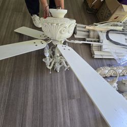 Fan/ Light Combo