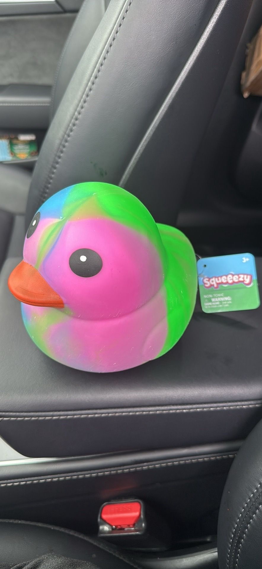 Squishy duck