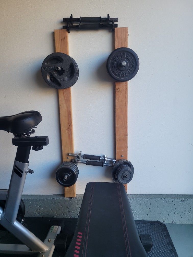 Weight Plates/Dumbells/Bench/Exercise Bike