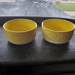 Charcuterie Board Dish Set X2