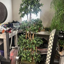Two Artificial 7ft Trees