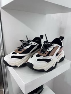 Steve madden diego purse and shoes