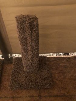 Cat scratch post