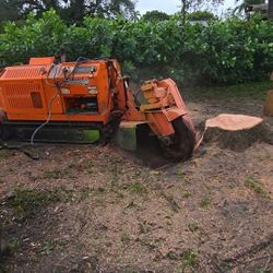 Stump Grinding. Molemos Tronco Y Ra ices