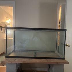 60 Gallon Fish Tank 