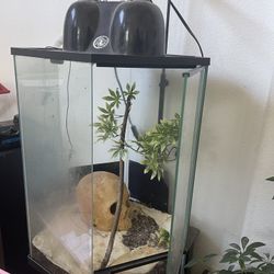 Terrarium 
