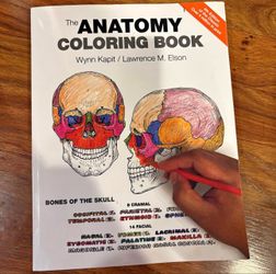 Anatomy Coloring Book