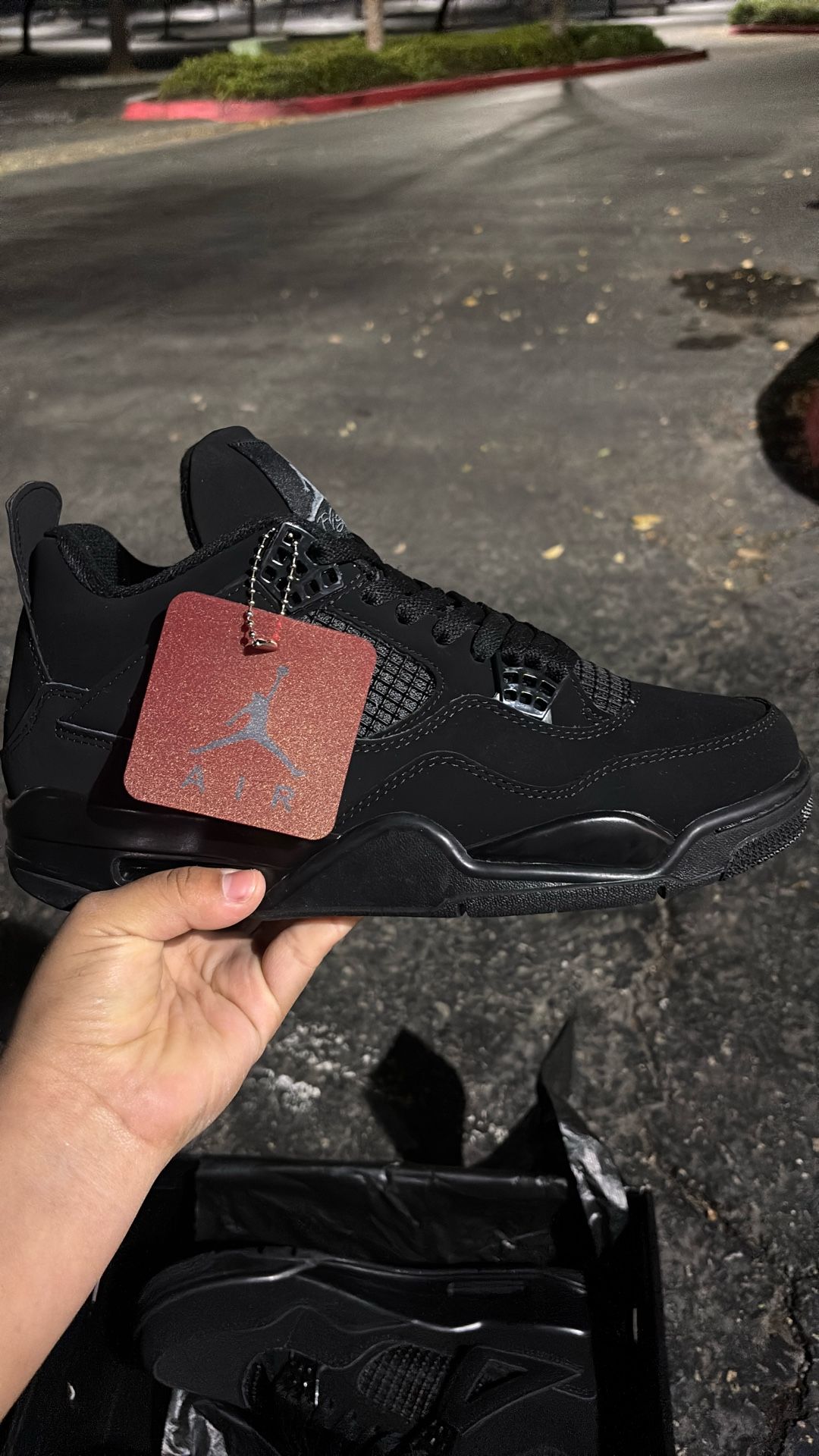 Air Jordan 4 Retro “Black Cats”