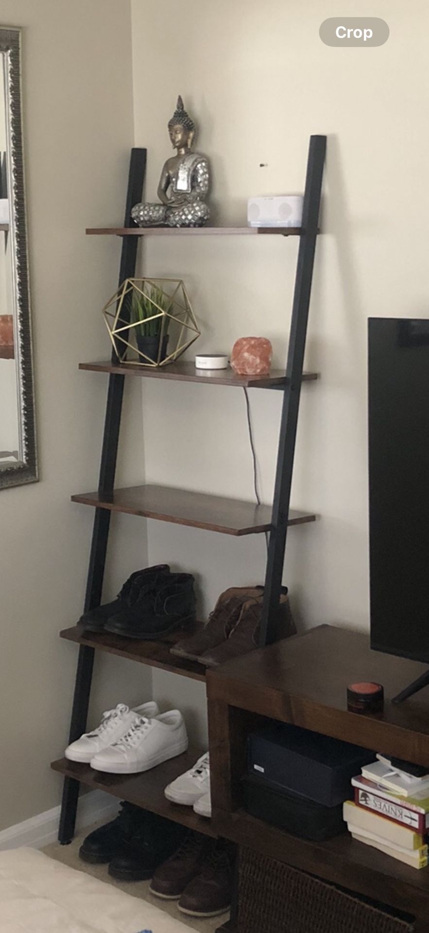 5 Step Ladder Shelf 
