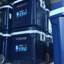 Igloo MaxCold Latitude 62-quart wheeled cooler.  $40