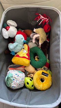 Dog toys