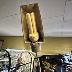 Avian Parrot Lamp