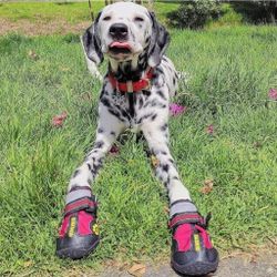 QUMY Dog Shoes for Large Dogs, Medium Dog Boots & Paw Protectors for Winter Snowy Day, Summer Hot Pavement, Water-Resistant in Rainy Weather, Outdoor 