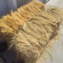 10 Bales Of Hay