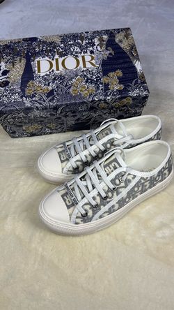 Grey Dior Shoes
