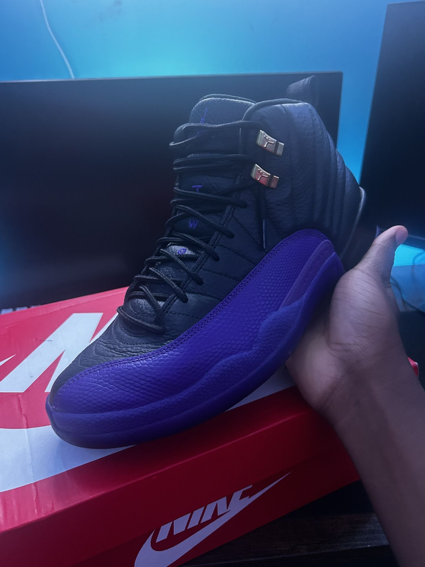 Jordan 12 Field Purple (size 10.5)