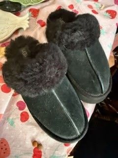 Ugg Slipper 