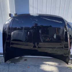 2018 2019 2020 2021 2022 2023 2024 Volkswagen Tiguan Hood OEM