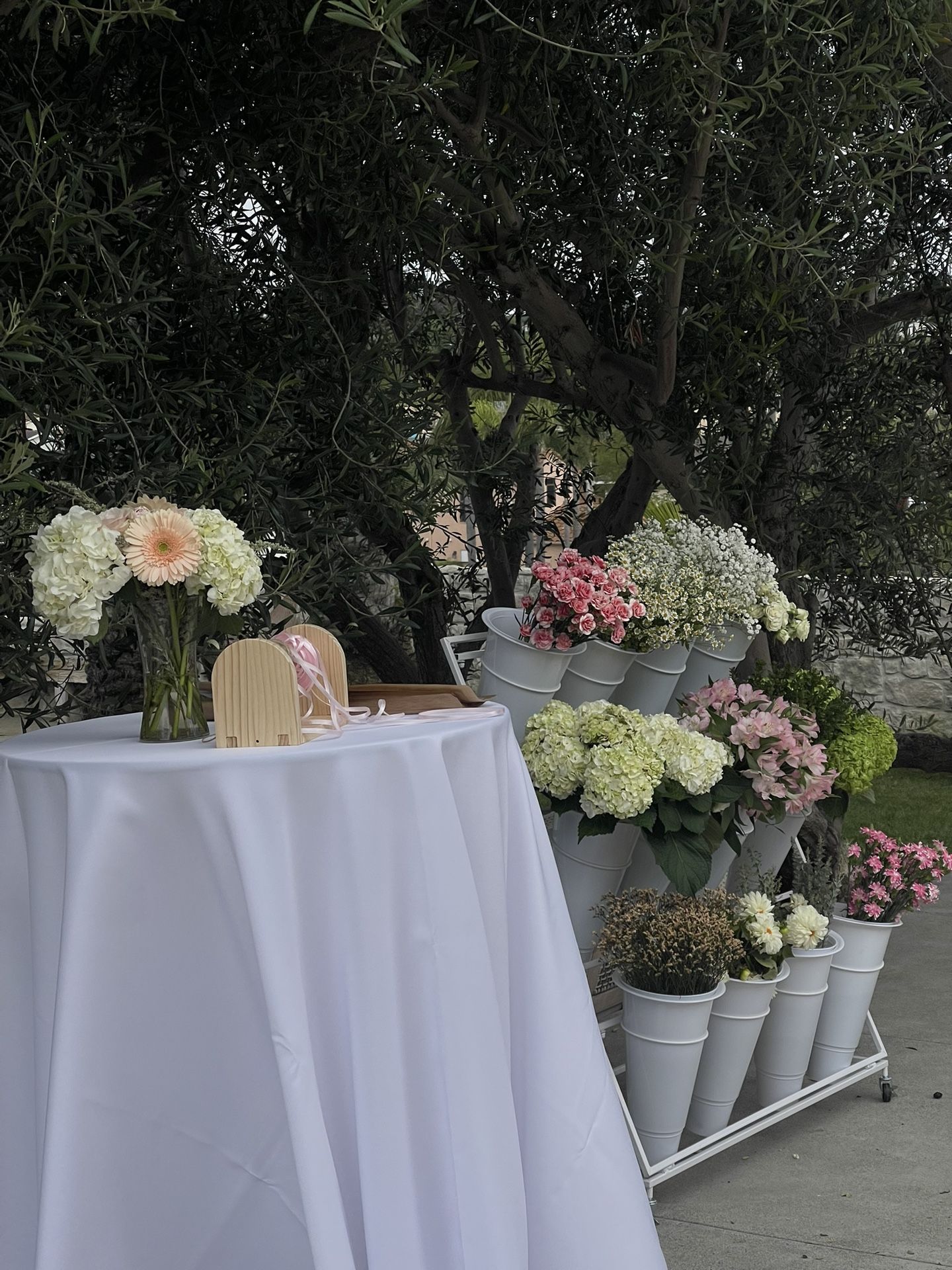 Flower Wall/Display Stand