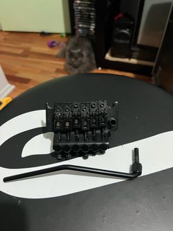 Floyd rose special
