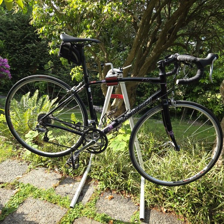 54 Cm. Specialized Dolce. WSD Road Bike
