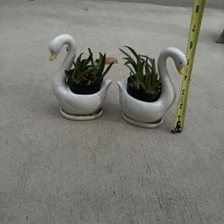 Macetas De figuritas De Patos Muy Bonitos 