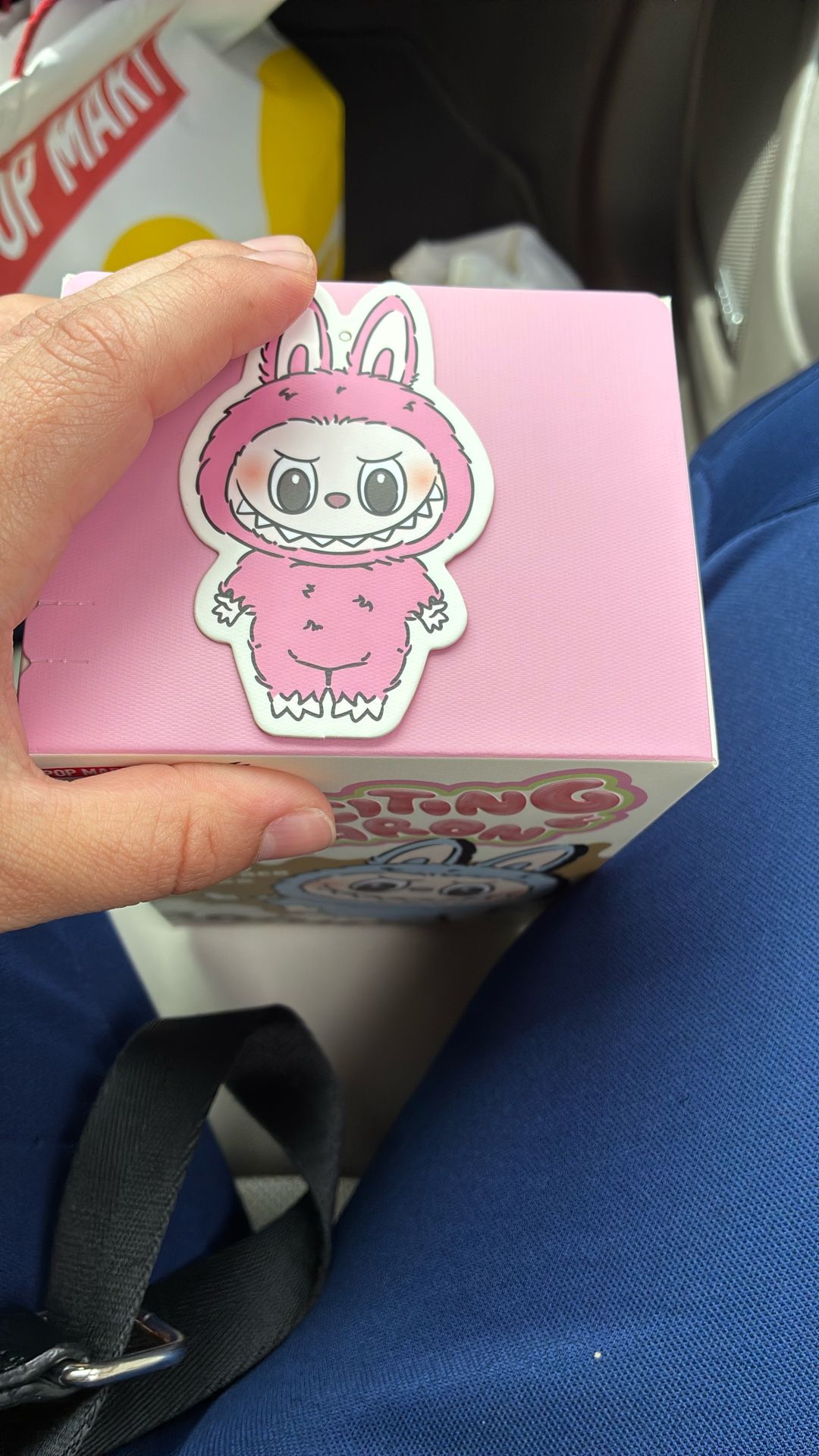Labubu Exciting Pop Mart