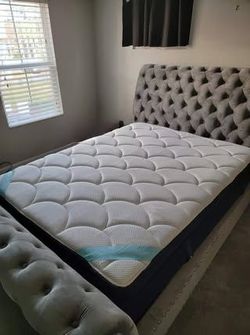 Dreamcloud, The DreamCloud Premier, Queen, Like New, only used for a few months