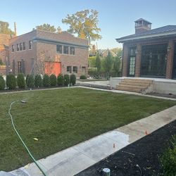 Sod/Landscape