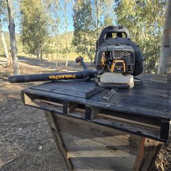 Poulan  Backpack Blower PR48BT not running
