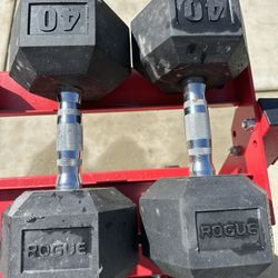 Rogue 40 Lb Dumbbells 